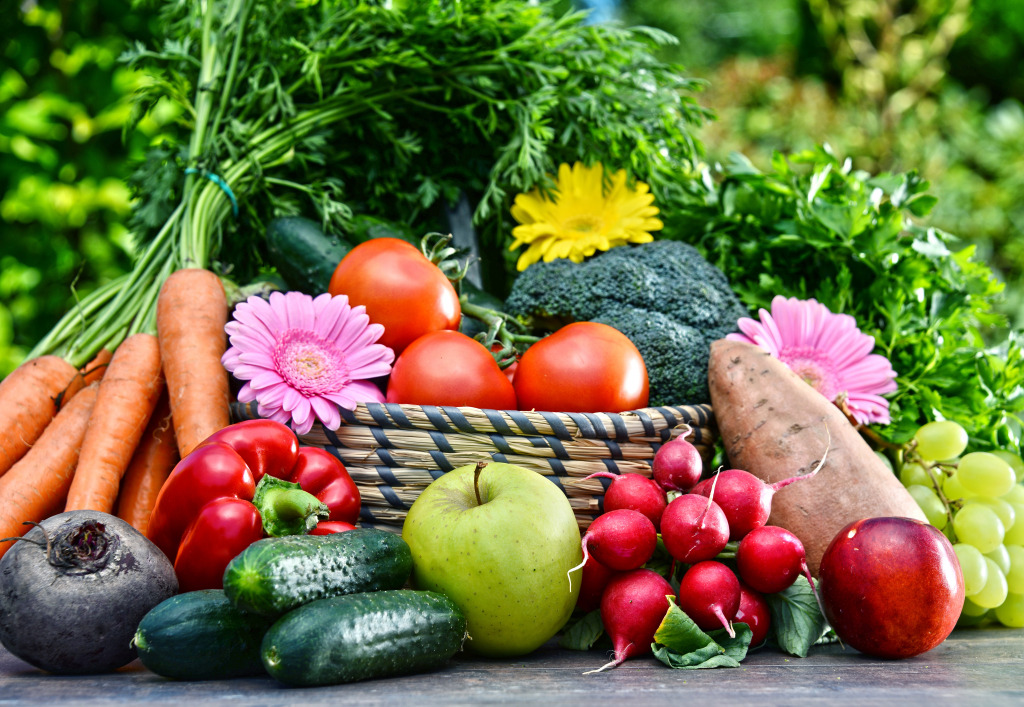 Fresh Organic Vegetables jigsaw puzzle in Puzzle of the Day puzzles on TheJigsawPuzzles.com