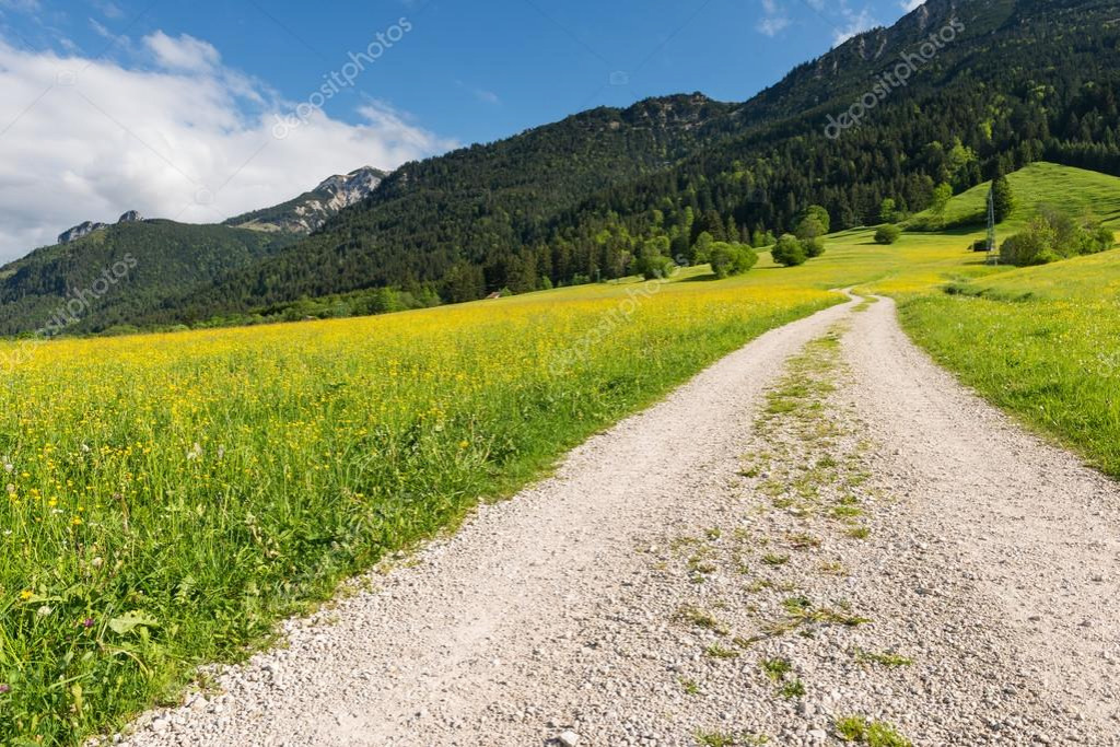 depositphotos_47226437-stock-photo-gravel-path-in-summer-landscape jigsaw puzzle in finferlo puzzles on TheJigsawPuzzles.com