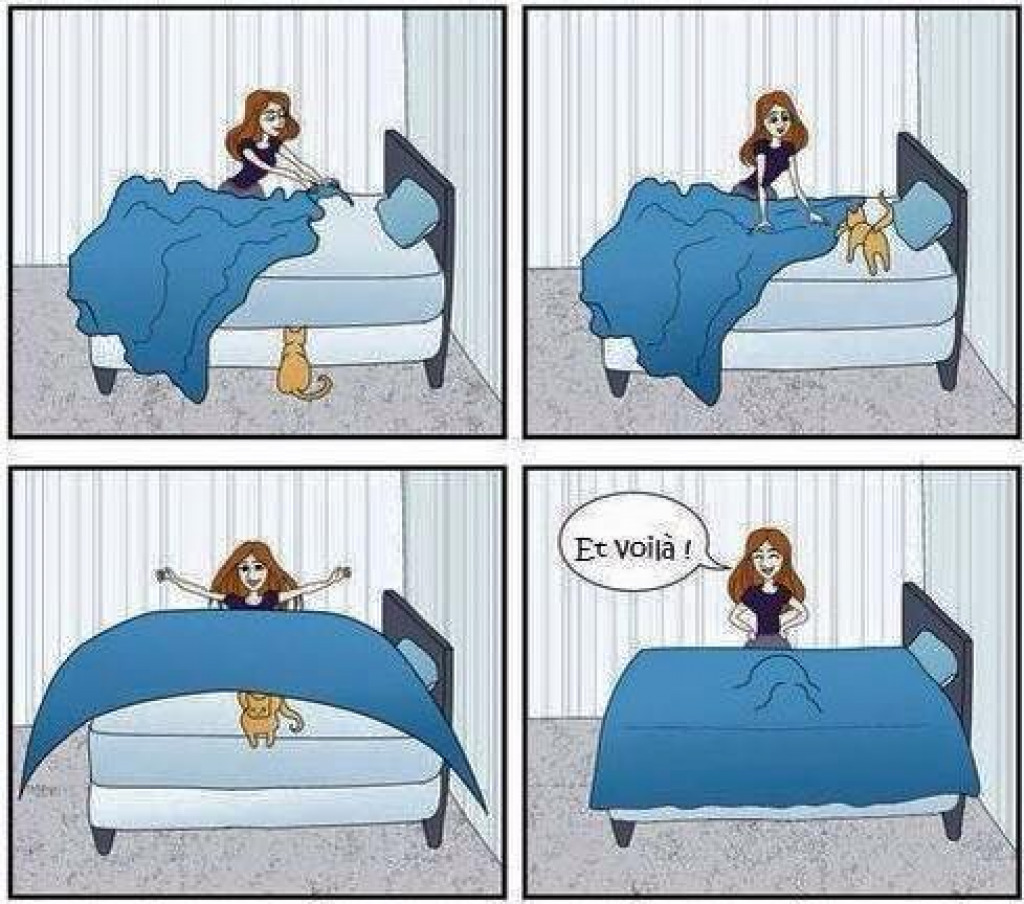 You must make your bed. Выбери мне кровать. Make my Bed cartoon funny. Do your Bed or make your Bed.