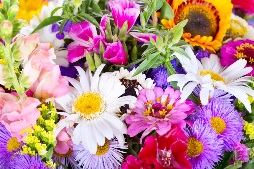 Bouquet of Summer Flowers jigsaw puzzle in Flowers puzzles on TheJigsawPuzzles.com