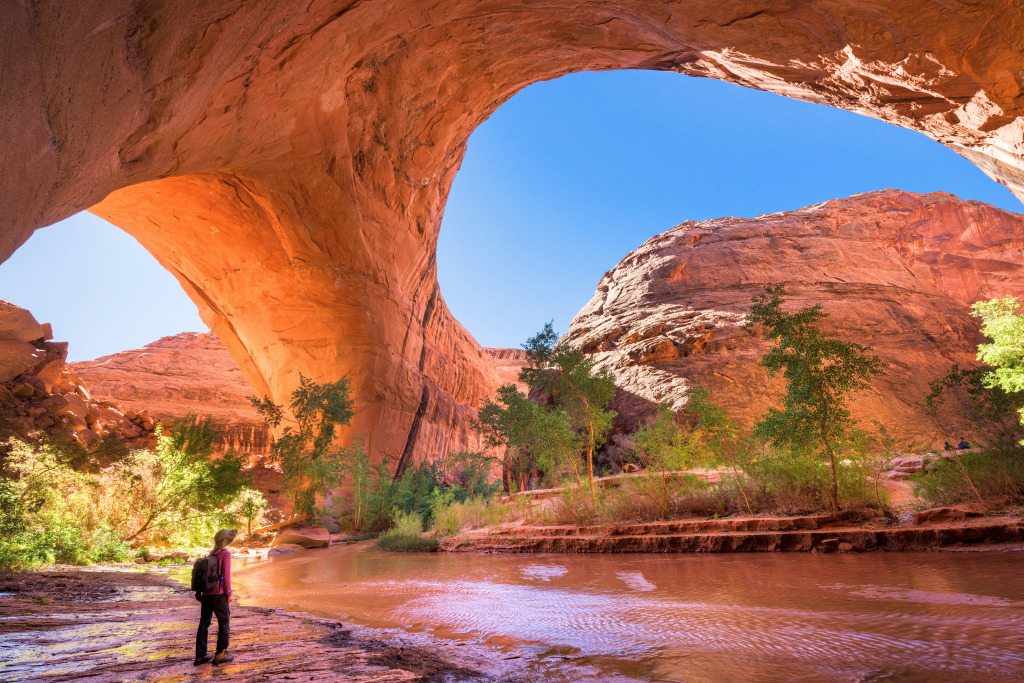 Jacob Hamblin Arch, Coyote Gulch jigsaw puzzle in Magnifiques vues puzzles on TheJigsawPuzzles.com