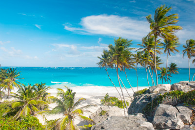 Bottom Bay Beach, Island of Barbados jigsaw puzzle in Great Sightings ...