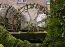 Castle of Arenberg Watermill