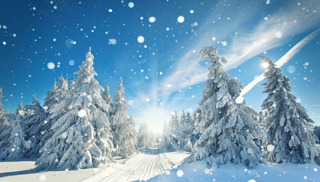 Winter Landscape jigsaw puzzle in Great Sightings puzzles on ...
