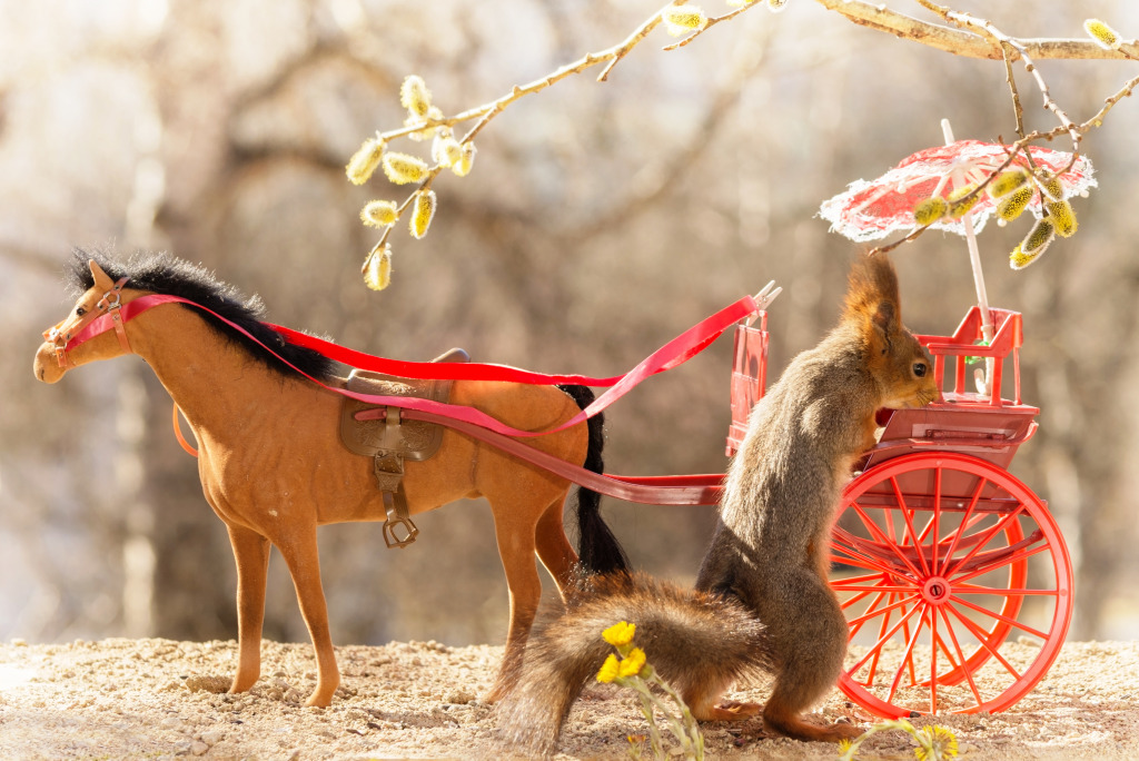Red Squirrel with a Horse Cart jigsaw puzzle in Animals puzzles on TheJigsawPuzzles.com