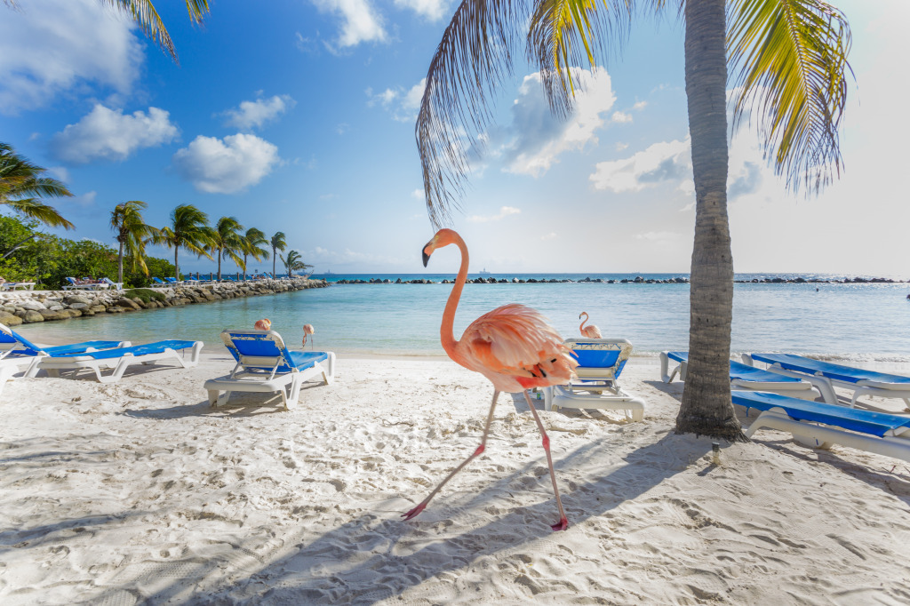Three Flamingos on the Beach jigsaw puzzle in Animaux puzzles on TheJigsawPuzzles.com