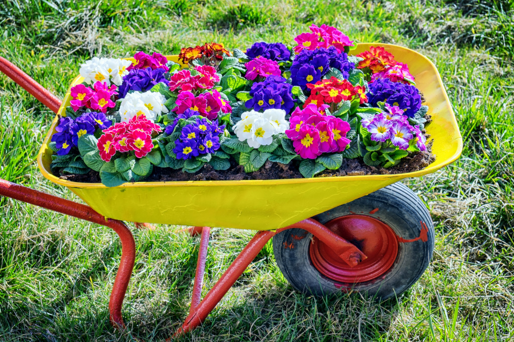 Flower Cart jigsaw puzzle in Flowers puzzles on TheJigsawPuzzles.com