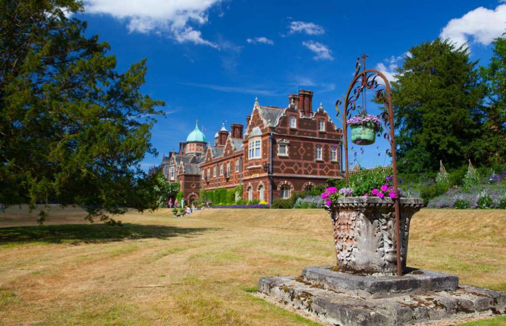 AAqDq9Y jigsaw puzzle in Elaine Smith puzzles on TheJigsawPuzzles.com