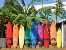 Colorful Surfboards, Paia, Hawaii