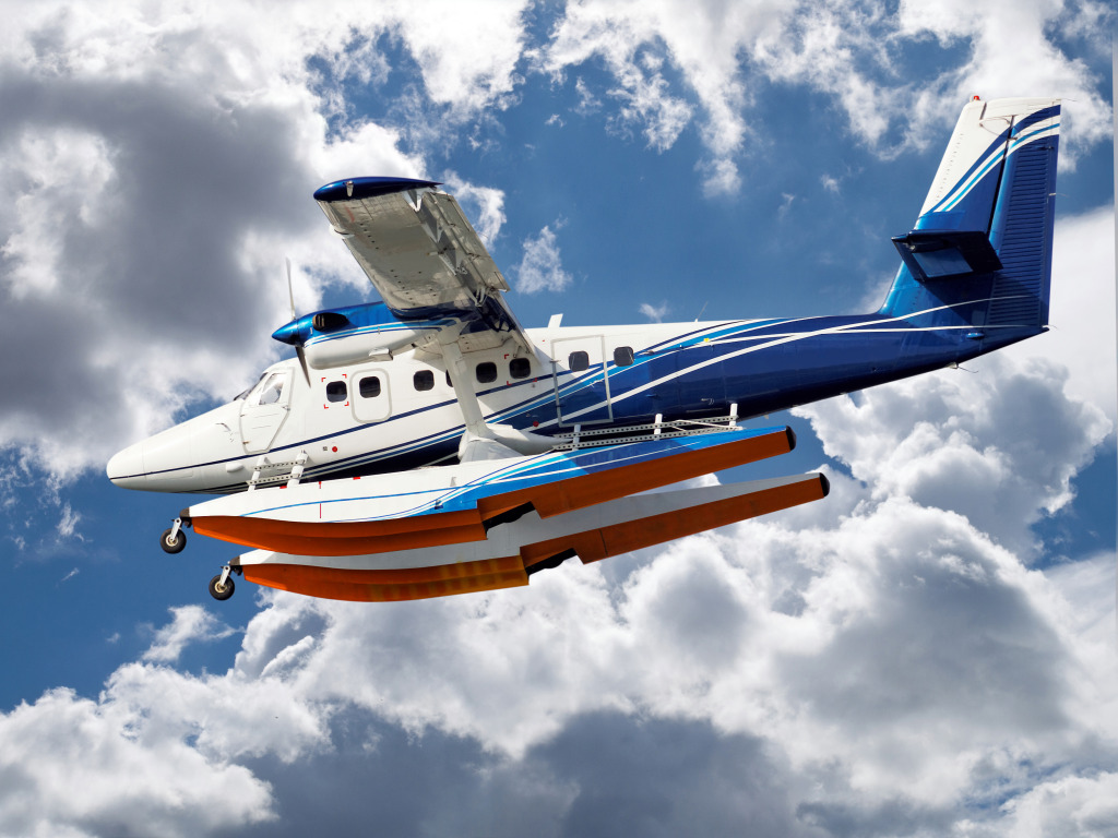 Wasserflugzeug bereit für die Landung jigsaw puzzle in Luftfahrt puzzles on TheJigsawPuzzles.com