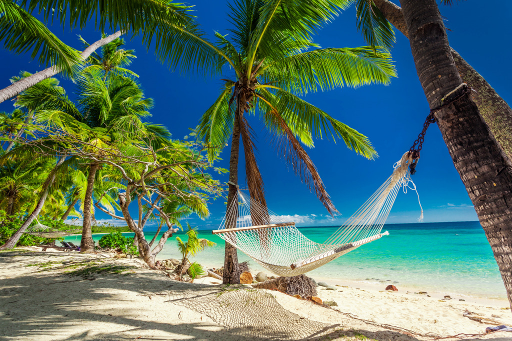 White Sand Beach, Fiji Islands jigsaw puzzle in Great Sightings puzzles ...