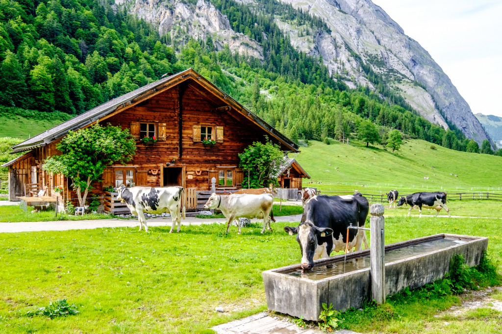 Cows at the Karwendel Mountains jigsaw puzzle in Animaux puzzles on TheJigsawPuzzles.com