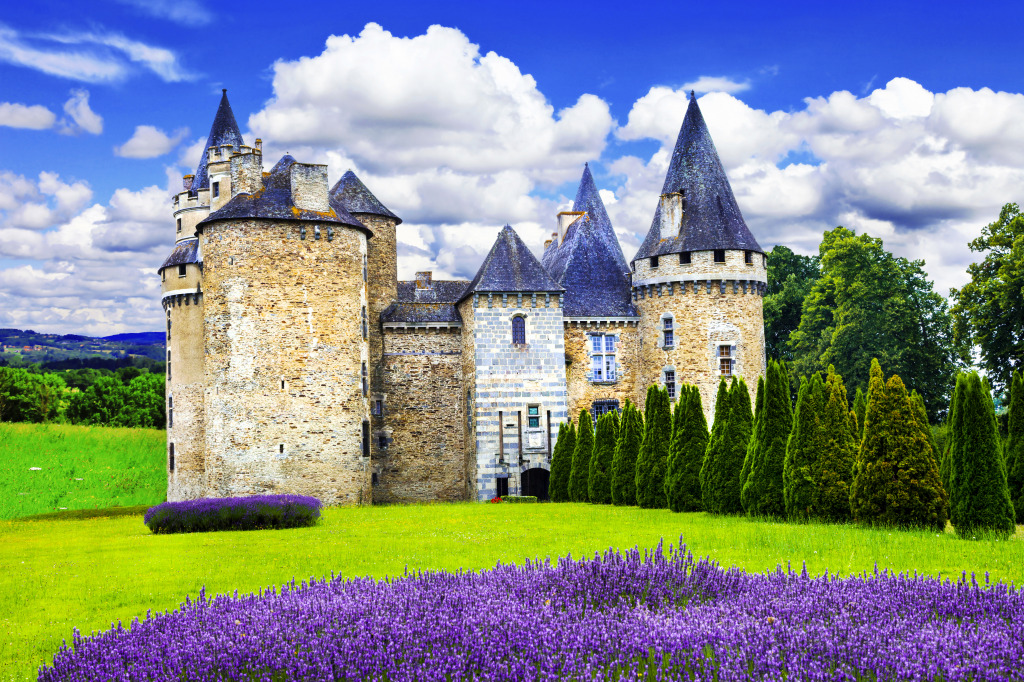 Château médiéval avec des champs de lavande jigsaw puzzle in Châteaux puzzles on TheJigsawPuzzles.com