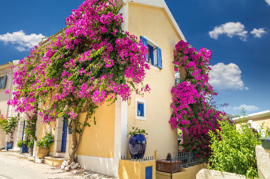 Traditionelles Griechisches Haus, Kefalonia Insel jigsaw puzzle in Blumen puzzles on TheJigsawPuzzles.com