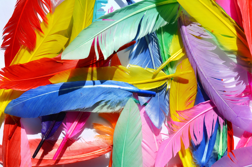 Colorful Feathers jigsaw puzzle in Puzzle of the Day puzzles on TheJigsawPuzzles.com