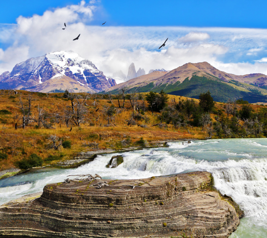 Torres del Paine National Park, Chile jigsaw puzzle in Waterfalls puzzles on TheJigsawPuzzles.com