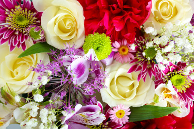 Bright Flowers jigsaw puzzle in Puzzle of the Day puzzles on ...