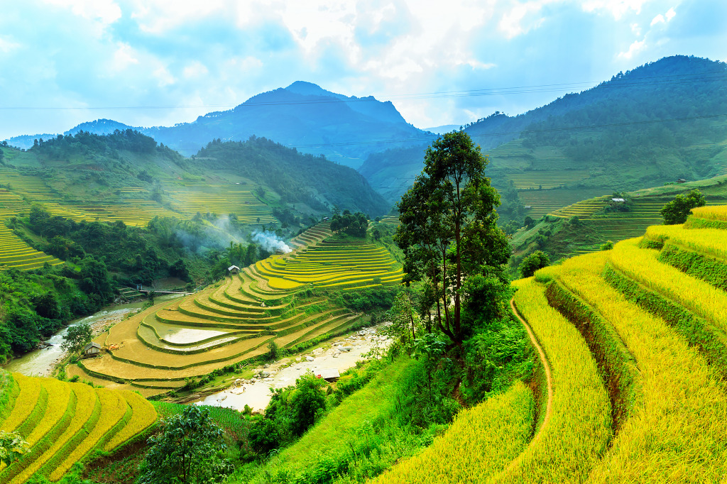 Rice Terraces of Mu Cang Chai, Vietnam jigsaw puzzle in Great Sightings puzzles on TheJigsawPuzzles.com