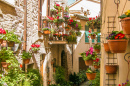 Floral Streets in Spello, Italy