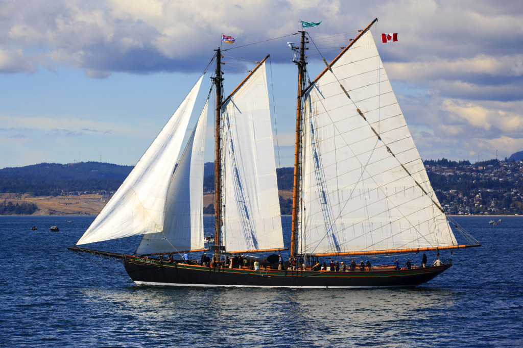 Victoria Classic Boat Festival, Canada jigsaw puzzle in Puzzle of the Day puzzles on TheJigsawPuzzles.com