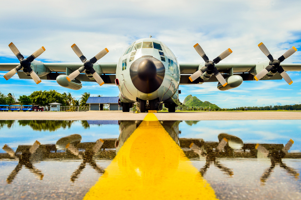 Военно-транспортный самолет C-130 jigsaw puzzle in Авиация puzzles on TheJigsawPuzzles.com