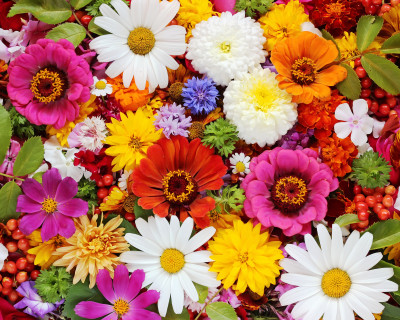 Carpet of Flowers jigsaw puzzle in Flowers puzzles on TheJigsawPuzzles ...