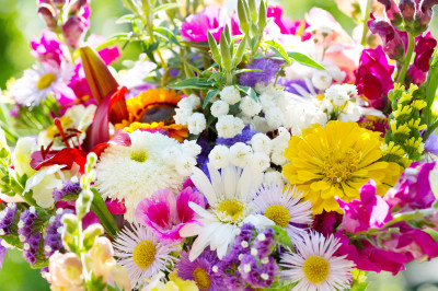 Summer Flowers jigsaw puzzle in Flowers puzzles on TheJigsawPuzzles.com ...