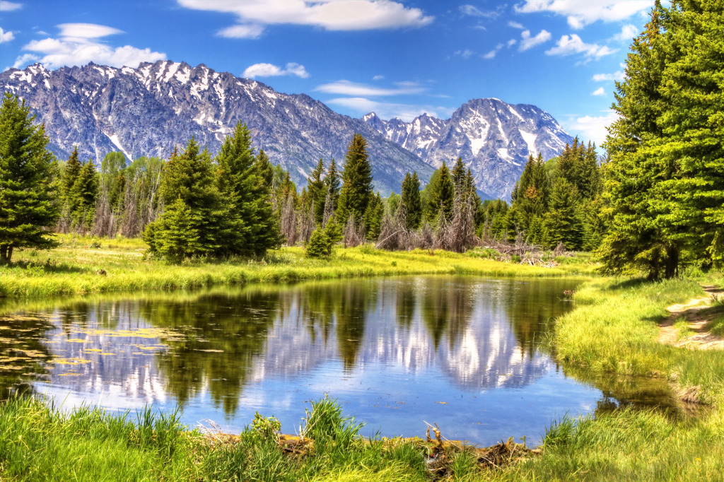 Grand Teton Mountains jigsaw puzzle in Great Sightings puzzles on TheJigsawPuzzles.com