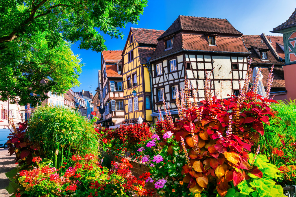 Flowers in Colmar, France jigsaw puzzle in Flowers puzzles on TheJigsawPuzzles.com