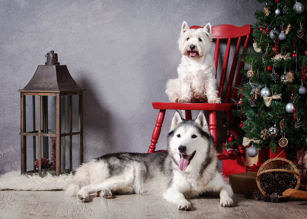 Siberian Husky and West Highland Terrier jigsaw puzzle in Animals puzzles on TheJigsawPuzzles.com