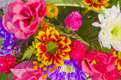 Spring Flowers jigsaw puzzle in Puzzle of the Day puzzles on