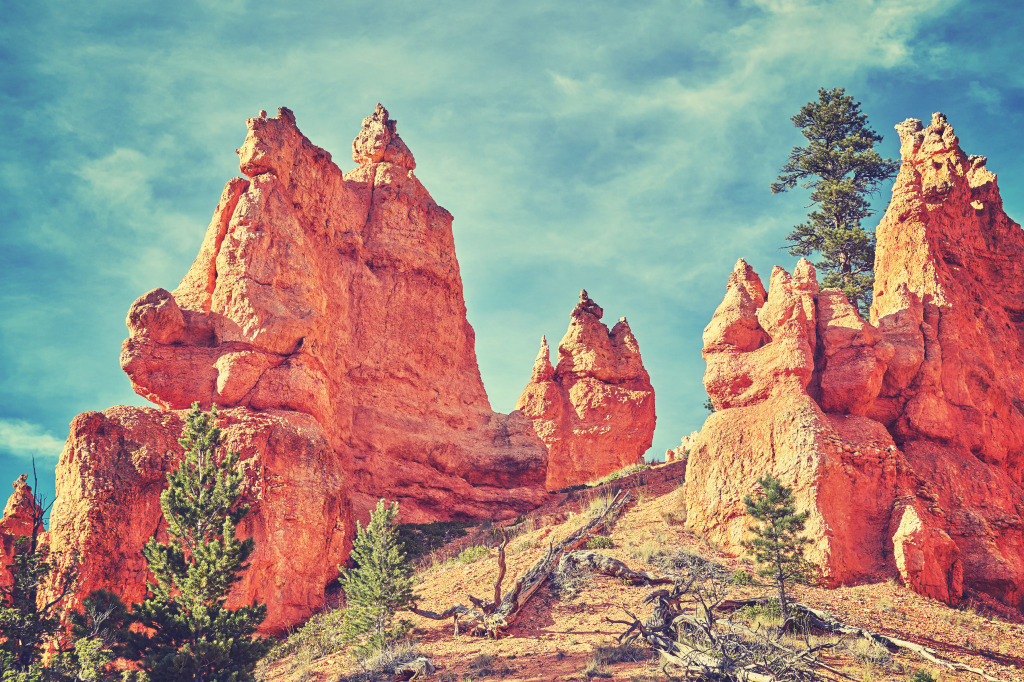 Bryce Canyon National Park jigsaw puzzle in Great Sightings puzzles on TheJigsawPuzzles.com