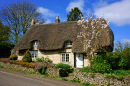 Gloucestershire Cottage with a Thatched Roof
