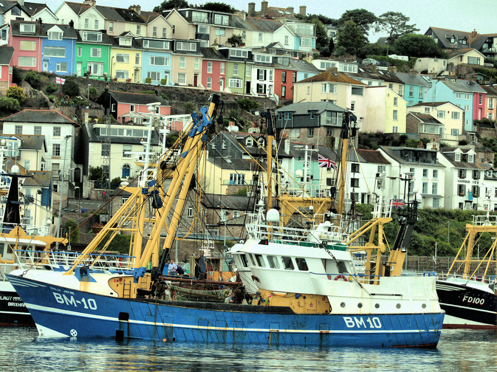 Brixham1 jigsaw puzzle in Colin Green puzzles on TheJigsawPuzzles.com