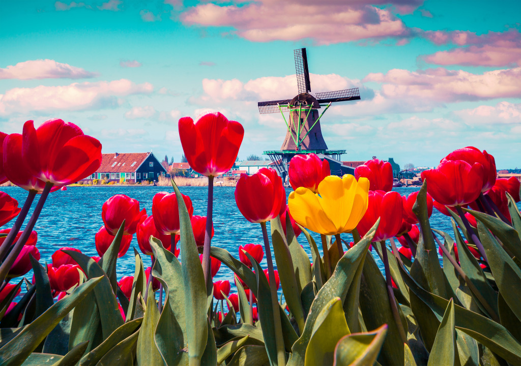 Tulips in the Dutch Village jigsaw puzzle in Flowers puzzles on TheJigsawPuzzles.com