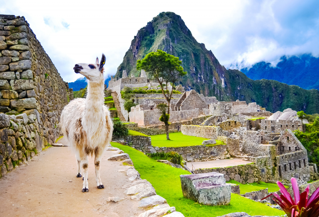 Llama in Machu Picchu, Peru jigsaw puzzle in Puzzle of the Day puzzles on TheJigsawPuzzles.com