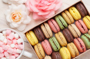 Colorful Macarons and Marshmallow