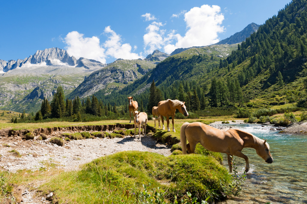 Parc National d'Adamello Brenta, Italie jigsaw puzzle in Animaux puzzles on TheJigsawPuzzles.com