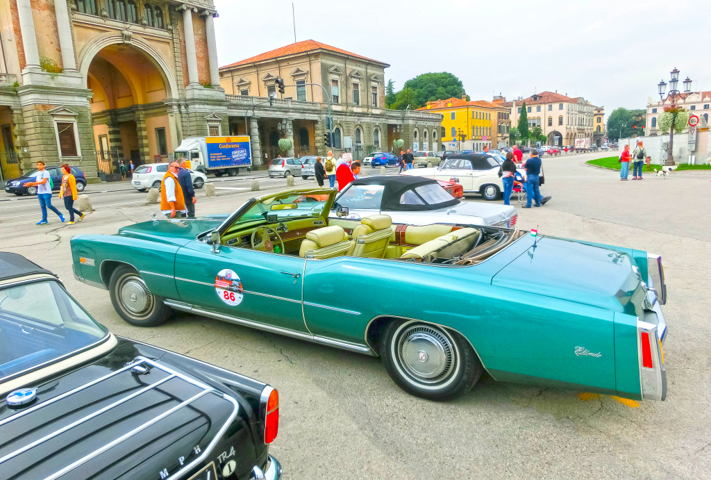 Classic Car Show in Padua, Italy jigsaw puzzle in Cars & Bikes puzzles on TheJigsawPuzzles.com