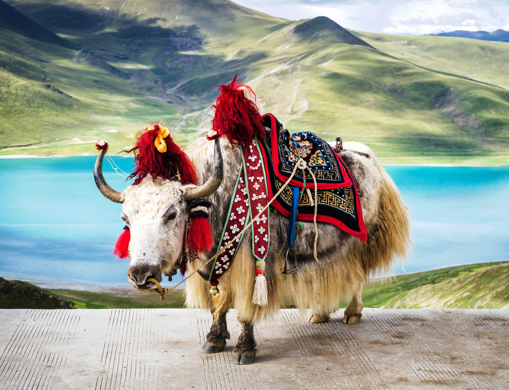 Decorated White Tibetan Yak jigsaw puzzle in Animals puzzles on TheJigsawPuzzles.com