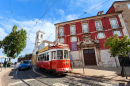 Lisbon's Famous Tram