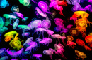 Jellyfish in Neon Lights