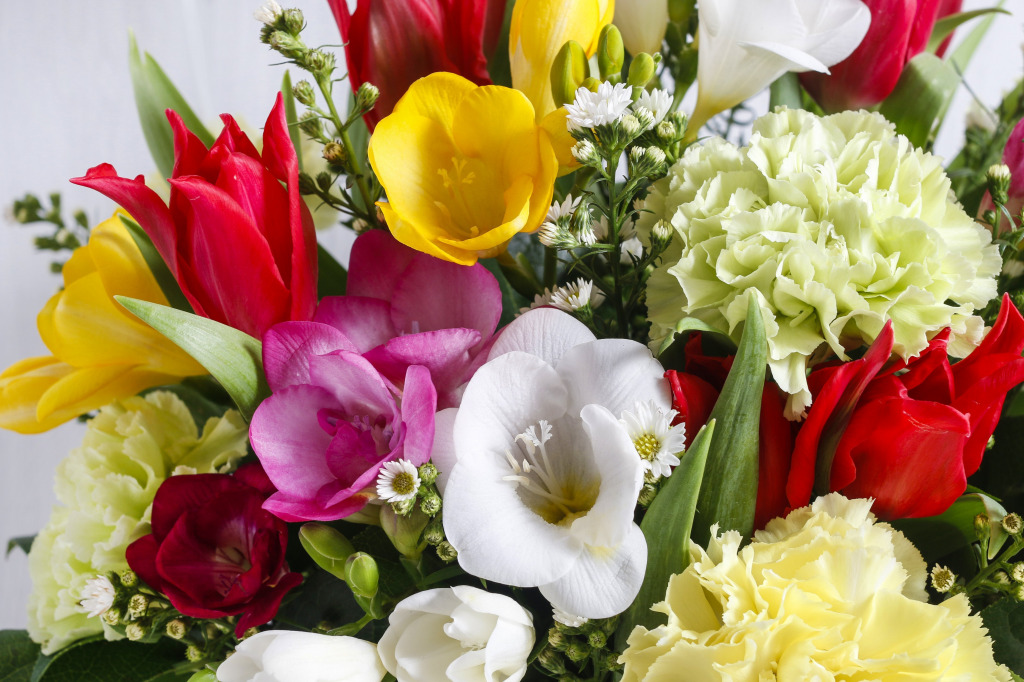 Bouquet of Freesias, Carnations and Tulips jigsaw puzzle in Flowers puzzles on TheJigsawPuzzles.com