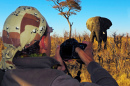 On Safari in Botswana