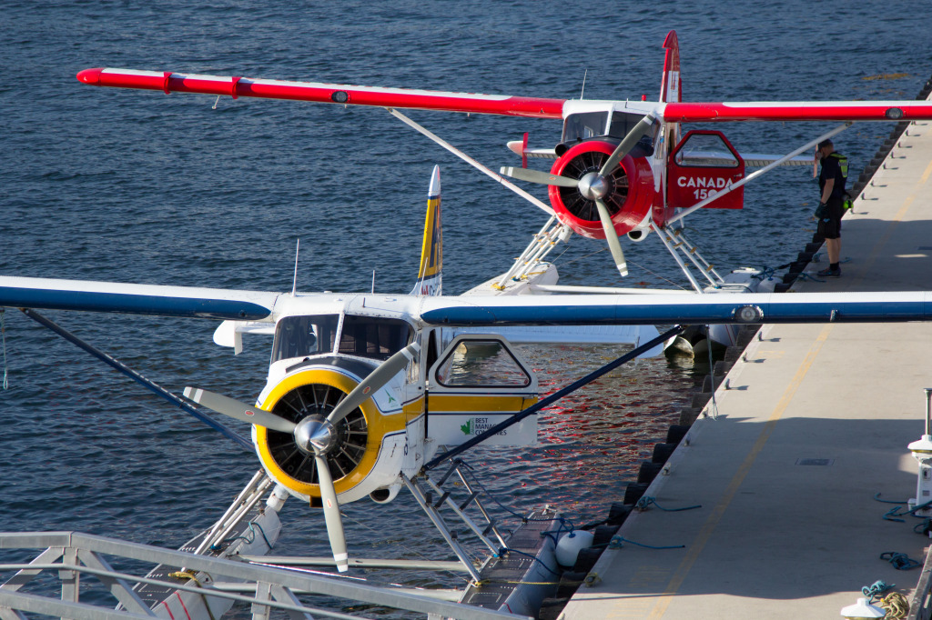 Beaver Float Planes in Vancouver jigsaw puzzle in Aviation puzzles on TheJigsawPuzzles.com