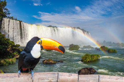 Iguazu Falls, Brazil jigsaw puzzle in Waterfalls puzzles on ...