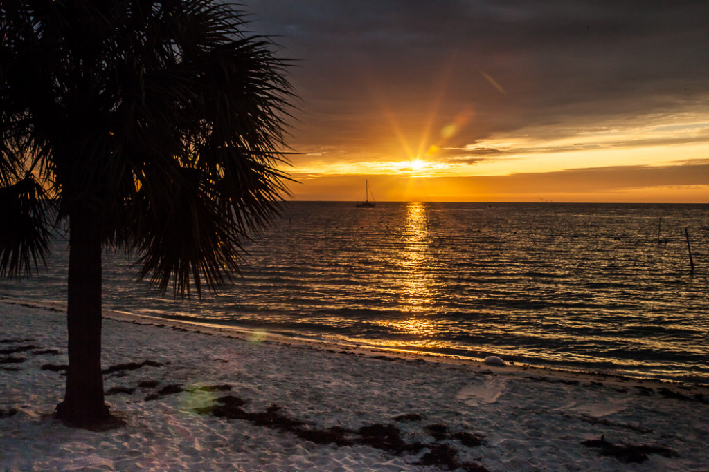 Cedar Key sunrise jigsaw puzzle in Scott Robinson puzzles on TheJigsawPuzzles.com