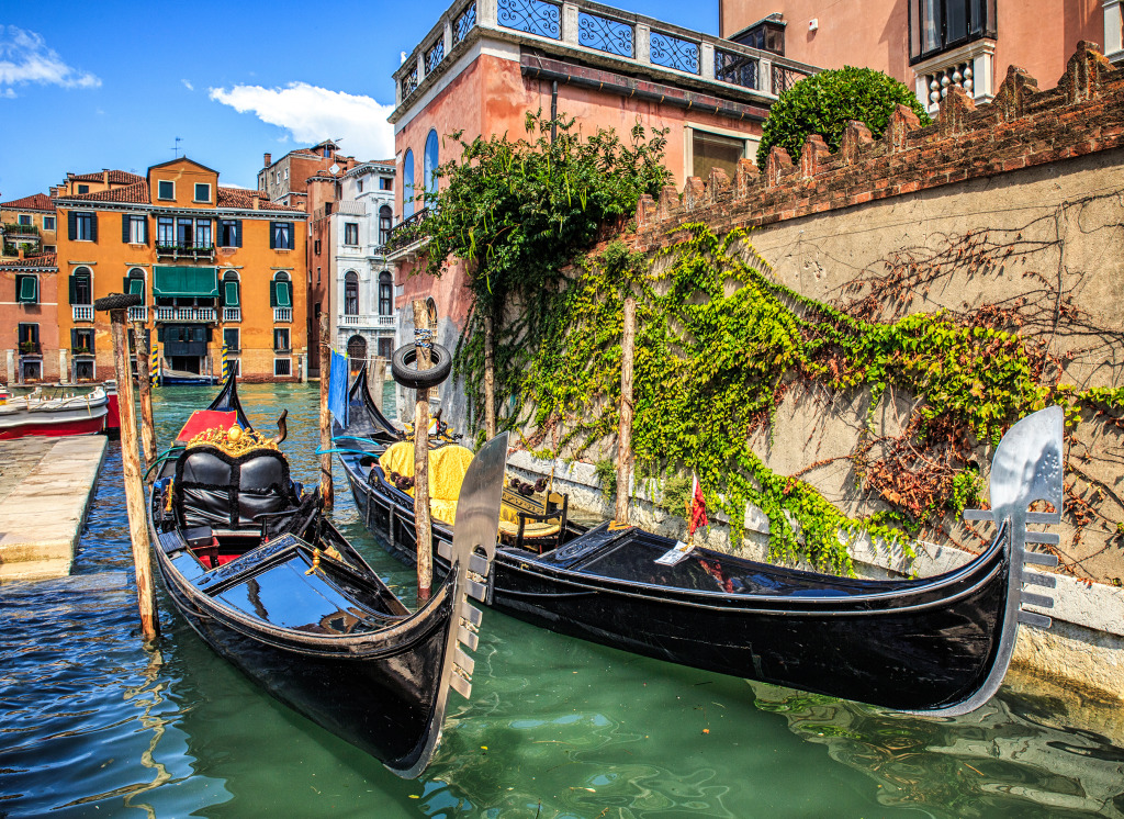 Gondolas in Venice jigsaw puzzle in Puzzle of the Day puzzles on TheJigsawPuzzles.com