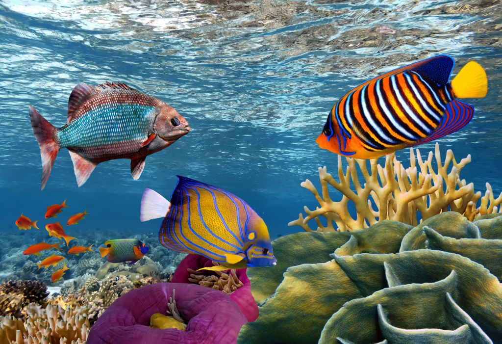 Korallenreef und tropische  Fische jigsaw puzzle in Unter dem Meer puzzles on TheJigsawPuzzles.com