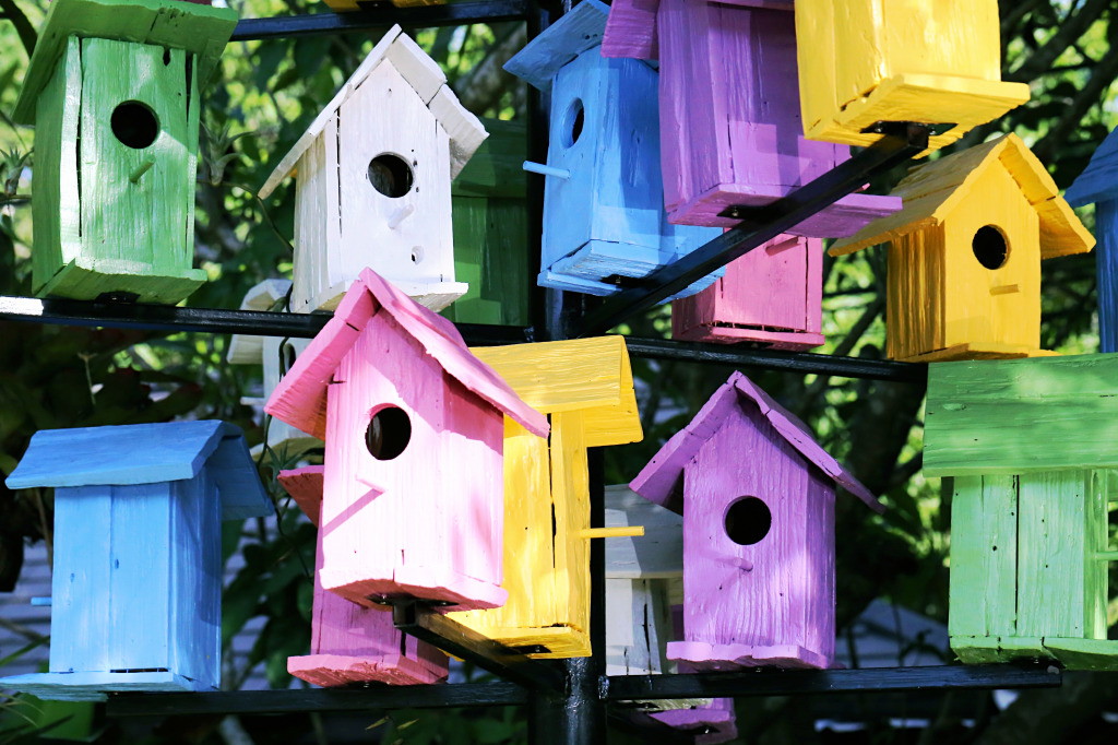 Bird Houses jigsaw puzzle in Puzzle of the Day puzzles on TheJigsawPuzzles.com